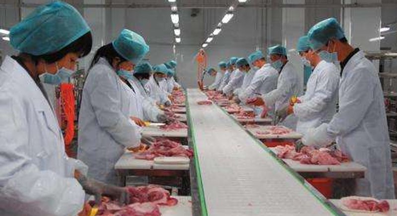 如何选择可靠的食品供应商?